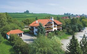 Hotel Alpina